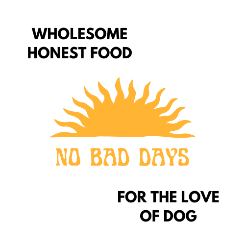 Local Business Spotlight - No Bad Days